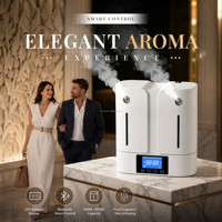 Diffuseur de parfum professionnel pour hôtel, à commande numérique, mural, grande surface, sans eau, en plastique, à deux fluides, pour l'HVAC commercial