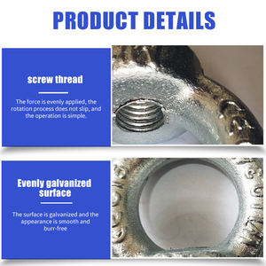 Tuercas <span class=keywords><strong>de</strong></span> Ojo Pulimentadas con Acabado Pasivado <span class=keywords><strong>de</strong></span> Acero y Hierro/Galvanizado <span class=keywords><strong>de</strong></span> Carbono <span class=keywords><strong>para</strong></span> Aplicaciones <span class=keywords><strong>de</strong></span> Minería y Tratamiento <span class=keywords><strong>de</strong></span> <span class=keywords><strong>Agua</strong></span> - Product Image 6