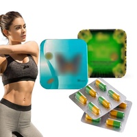 Capsules de perte de poids personnalisées en vente chaude, complément alimentaire minceur, brûleur de graisse, capsules de Garcinia Cambogia