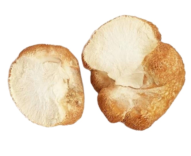 Bulk supply dried whole natural dried Health fungus lions mane mushroom for sale