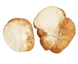 Fourniture en vrac, champignons de santé séchés naturels entiers, champignons à crinière de lions à vendre - Product Image 1