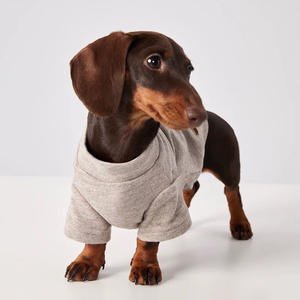 Sweat-shirt élégant et chaud pour animaux de compagnie, texture confortable, chemise thermique d'hiver, populaire pour Bichon Frisé et <span class=keywords><strong>Teckel</strong></span> - Product Image 5