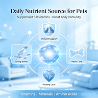 Tablet Suplemen Multivitamin Hewan Peliharaan OEM Vitamin A D3 E B-Complex Seng Zat Besi Taurin Lisin Nutrisi Harian Anjing Kucing Pabrik