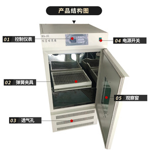 Incubadora de Agitación a Temperatura Constante Bs-1e de 160L con Ventana de Observación para Cultivo Microbiano - Product Image 1