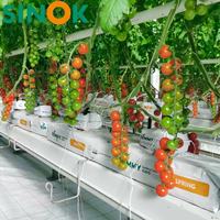 Serre agricole multi-chapelles complète avec système hydroponique NFT pour cocopeat, système de refroidissement et système d'ombrage