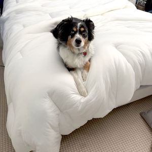Ultra Soft Cloud-Touch <strong>Comforter</strong> - Knitted Cooling Bedding Quilt - Down Alternative Fill <strong>Bed</strong> <strong>Comforter</strong> - Oeko-Tex Factory - Product Image 3