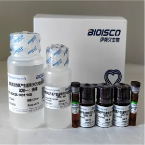 Kit deteksi kadar oksigen reaktif mitobusa (ROS)
