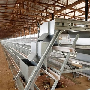 กรงเลี้ยงไก่ไข่อัตโนมัติแบบ A-Frame คุณภาพสูงสำหรับโรงเรือนสัตว์ปีก สภาพใหม่ - Product Image 4