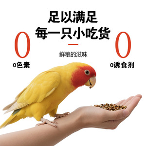 Alimento para Aves de Compañía Fire Seed 400G, Origen Shandong, Suplemento Nutricional para la Salud de las Plumas y el Cuidado Digestivo - Product Image 4