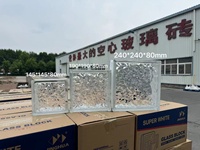 Vente directe d'usine Blocs de verre creux à motif de cristaux de glace Briques modernes à haute transmission de la lumière Cloison de salle de bain Hôtel