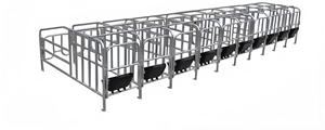 Equipo para la cría de animales en granja: <span class=keywords><strong>Jaula</strong></span> de paridera de hierro fundido para cerdas con mesa obstétrica para cerdos, en venta - Product Image 6