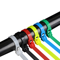 CHCC Bridas de plástico de nailon para sujeción y organización de cables, 4.8x300mm