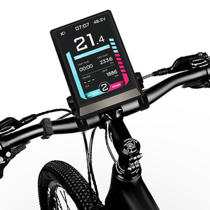 Prophete Display: Best EBike LCD Options