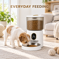 Distributeur automatique de nourriture pour animaux de compagnie, bac à nourriture transparent pour chiens, bol en acier inoxydable, distributeur intelligent de croquettes, utilisation en intérieur, OEM ODM, vente en gros