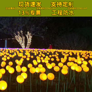 LED - Product Image 4