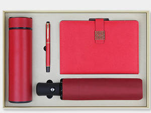 Flacon, parapluie, stylo, carnet de notes, coffret cadeau d'entreprise pour cadeaux de promotion d'entreprise - Product Image 4