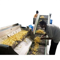 Automatisch industrieel frituursysteem voor aardappelproducten, chips, friet en snacks