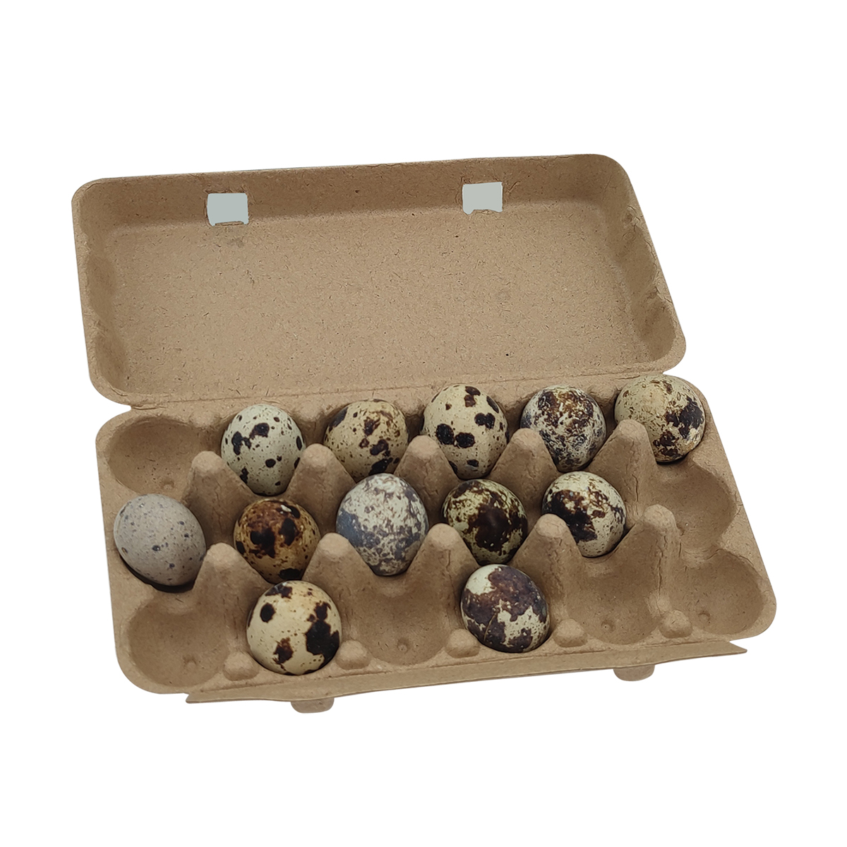 Paper Pulp Quail Egg Carton Manufacturers China Customized Products