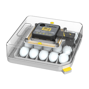 Incubadora de Huevos WONEGG 48H Mini de Doble Potencia Totalmente Automática con Certificado CE FCC - Product Image 1