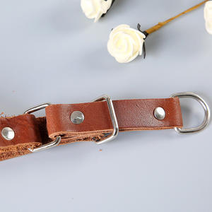 Collar Ajustado <span class=keywords><strong>para</strong></span> Perro Galgo - Stock al por Mayor - Product Image 4