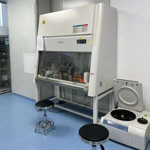 Gabinete de seguridad biológica Clase II A2 Gabinete de seguridad biológica Equipo de laboratorio certificado NSF/EN para trabajo estéril - Product Image 1