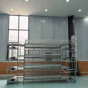 Otomatik el krank tabakası 128/160 kuş tavuk kafesi sistemi büyük ölçekli kümes hayvancılığı için h-tipi galvanizli pil kafesleri - Product Image 2