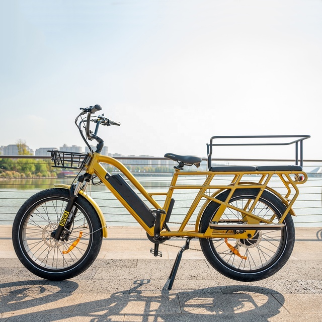 24 Inch Electric Cargo Bike Rear Hub Motor Food Delivery 7-Speed Lithium Battery 750w/1000w 150kg Load Capacity