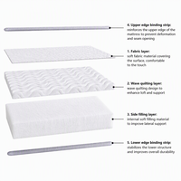 Matelas à ressorts ensachés en mousse à mémoire de forme au design européen, faible MOQ, pour usage scolaire et hospitalier, épaisseur 25 cm, fermeté moyenne, marque RUCAS