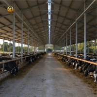 Bâtiment avicole préfabriqué en acier léger, résistant à la corrosion, avec ventilation, entrepôt agricole métallique, conforme AISC