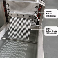 Granulateur de recyclage de plastique à vis simple SJ120, ligne de pelletisation de brins PE PP 55 kW