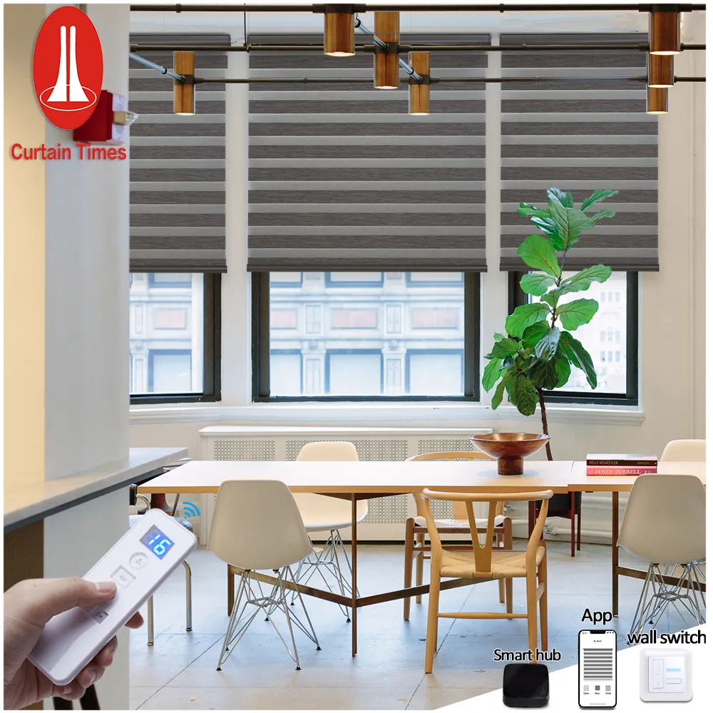 Factory Smart Electric Wifi Alexa Roller Zebra Blinds Dual Roller Mechanism Textile Window Blinds