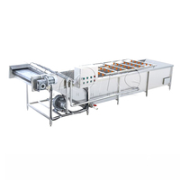 3 T/h Bubble Fruit Wasmachine Sortering Lijn Oranje Wasdroger Schoonmaken En Sorteren Appelreiniger Drogen Waxen Mango Wasmachine