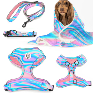 Harnais de luxe pour chien, motif cœur et patte, boutique pour animaux de compagnie, couverture d'hiver chaude pour chien, couverture de Noël, logo personnalisé, collier et laisse réglables pour animaux de compagnie - Product Image 3
