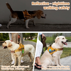 Sadel gaya tidak ada tarik Oxford, kekang anjing dan Set tali reflektif bisa disesuaikan, rompi Harness hewan peliharaan nama pribadi - Product Image 6