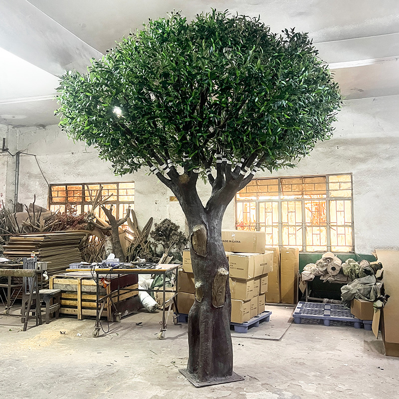 customized olive tree