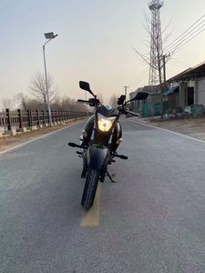 Motocicletta Suzuki1 GW250 <span class=keywords><strong>Inazuma</strong></span> 250: Potenza del Motore Bicilindrico Parallelo e Leggendaria Affidabilità Suzuki - Product Image 2
