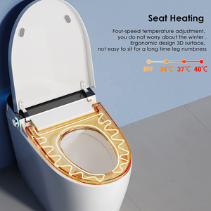 Toilette intelligente simple, WC électrique sans réservoir, bidet sanitaire automatique, toilette intelligente pour salle de bain OEM - Product Image 4
