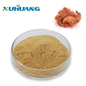 Aditivo Alimentario, Extracto <span class=keywords><strong>de</strong></span> Seda <span class=keywords><strong>de</strong></span> Maíz en Polvo, Extracto <span class=keywords><strong>de</strong></span> Estigmas <span class=keywords><strong>de</strong></span> Maíz Altamente Soluble en Agua - Product Image 2