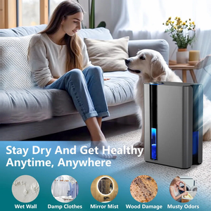 HASHONE 1L/<span class=keywords><strong>D</strong></span> Smart Wifi Tuya Control Portable Home Air Dryer <span class=keywords><strong>D</strong></span>éshumidificateur 2.5L <span class=keywords><strong>Humidité</strong></span> Absorber Room <span class=keywords><strong>D</strong></span>éshumidificateur <span class=keywords><strong>d</strong></span>'air électrique - Product Image 3