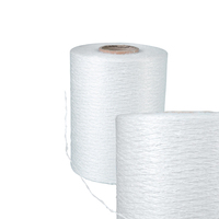 E/C-glass Fiber Glass 136Tex Fiberglass Yarn for Weaving Fiberglass Mesh