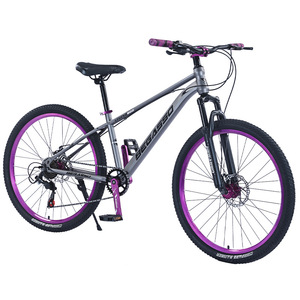 Vélo tout-terrain à vitesse variable en alliage d'aluminium ultra-léger pour hommes, femmes et adultes, avec fourche en acier pour les jeunes et les étudiants - Product Image 2