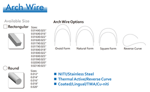 Fornitura di fabbrica di materiali per la salute dentale ortodontico <span class=keywords><strong>NiTi</strong></span> arcuato produttore di fili orto nichel titanio Archwire - Product Image 6