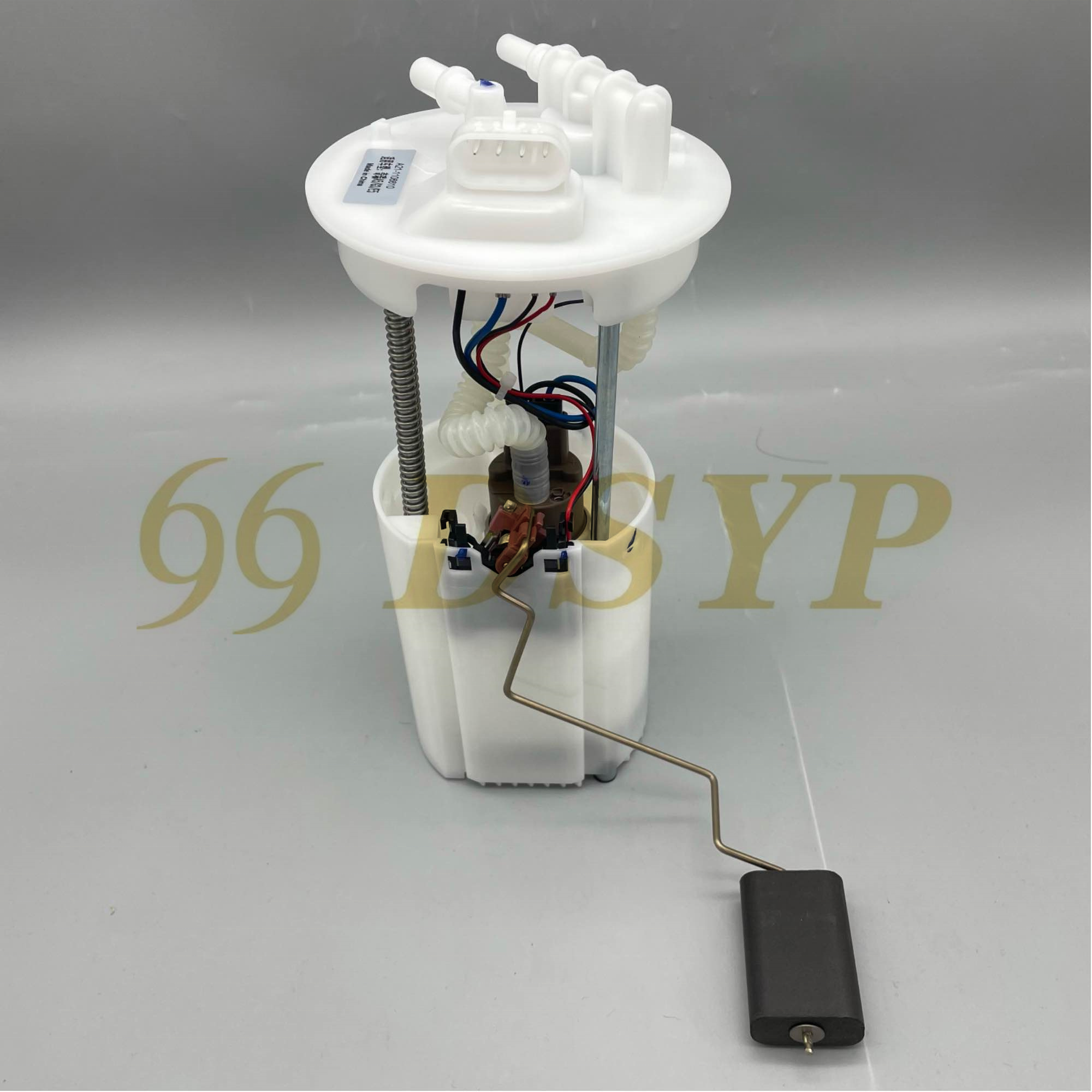DSYP Auto Parts Fuel Pump Assembly A21-1106610 F01R00S030 for