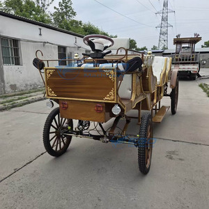 Calèche électrique de tourisme chinoise à vendre / Calèche de tourisme à effet bois - Product Image 5