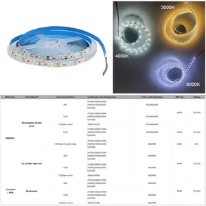 Tira de luces Led iluminación inteligente techo exterior impermeable coche a prueba de agua al por mayor 2835 persiguiendo luces de neón blancas que fluyen