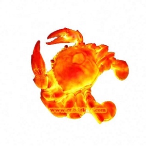 Escultura de langosta LED de alta calidad, diseño de camarón gigante para iluminación de escena nocturna de jardín para decoración de restaurante de mariscos, resina hecha - Product Image 2