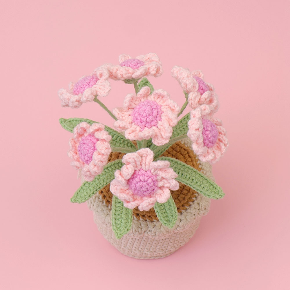 Nuevo 7-cabeza rosa margarita planta en maceta (Cuenca lana cilíndrica)