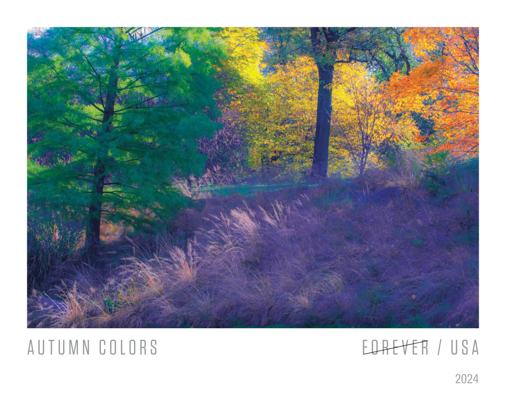 Couleurs d'automne 2024 500374-Z8-248-25BKAN