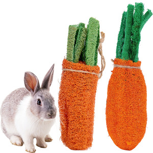 Zenidoo Factory Supply Jouet à mâcher naturel en loofah pour perroquets et lapins, en forme de carotte, jouet à mâcher couineur pour la dentition et le nettoyage des dents, étanche, jouet pour le foie - Product Image 1