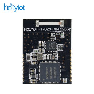 Módulo Receptor Bluetooth <span class=keywords><strong>Mini</strong></span> de Bajo Costo Holyiot, Hogar Inteligente, Nordic BLE <span class=keywords><strong>5.3</strong></span> NRF52832 - Product Image 4